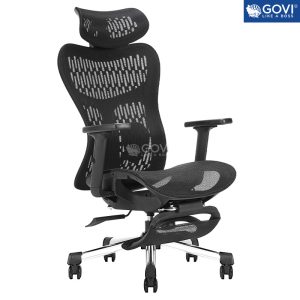 Ghế công thái học Ergonomic Zoom Z01 Pro (Footrest)