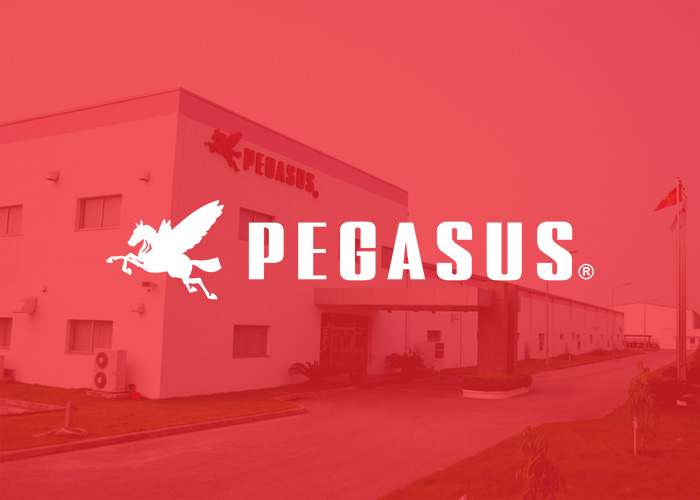 Pegasus | Thiết kế văn phòng hiện đại, tiện ích với ghế training Govi